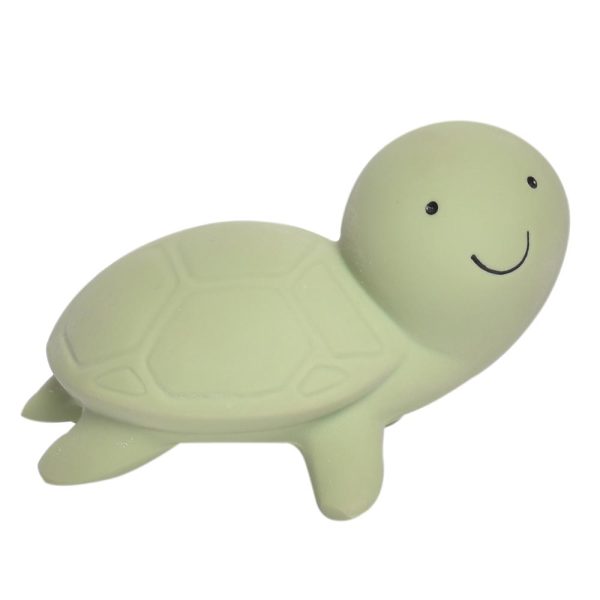 Mordedor Animal Tortuga